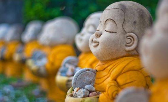 十羊九苦？假的！這「幾個月」出生的屬羊人個個是富貴命   