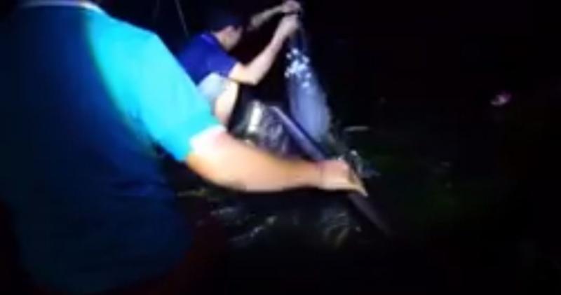 河童現身！？男子蓮花池捕魚突遭「神秘黑爪」秒拖入水中消失！驚悚畫面曝光～ 