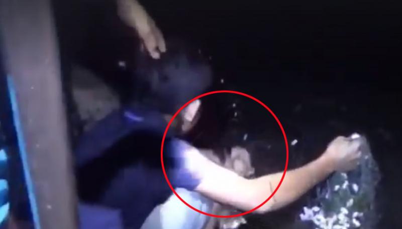 河童現身！？男子蓮花池捕魚突遭「神秘黑爪」秒拖入水中消失！驚悚畫面曝光～ 