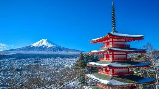 這些生肖不用算命了！1月11日開始，彩票瘋狂中不停！ 