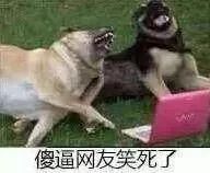 這輩子做過最後悔的事，就是拍了這些「莫名羞恥」的沙雕照片... 