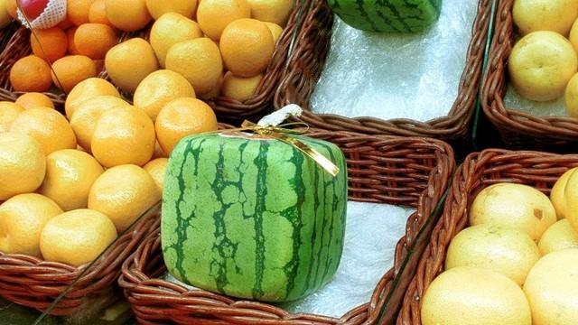 10大最奇葩的發明，真心佩服日本人的腦洞 
