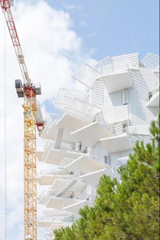 住塔樓還每戶都有空中花園？藤本壯介做到了，這才是幸福建築的模樣！