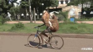 發個笑話給你，有本事，忍住別笑！哈哈，忍不住了..