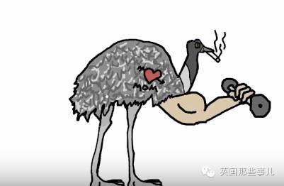 史上最奇葩戰爭！澳洲皇家軍團與鴯鶓開戰2次，用了上萬發子彈還是認輸