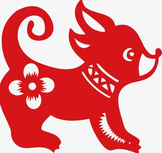 2019年點名「四大生肖」狗年不順、豬年可享福，一整年順風順水
