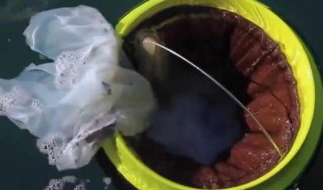 為挽救海洋生命，2人堅持10年發明​​的黑科技，凈化海洋水質