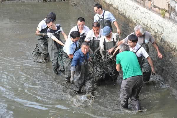 明明能交配卻無法繁殖的超古老生物即將滅絕，目前2隻在中國、1隻在越南！