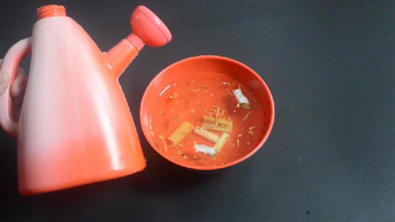 家裡有抽剩的菸頭嗎？這個用途太厲害了，看完抓緊告訴家裡人 !