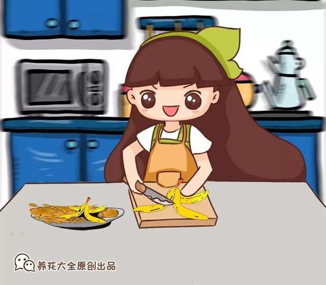 橘子皮放水裡泡一泡，勝過5瓶營養液，澆過的花油綠直冒芽！