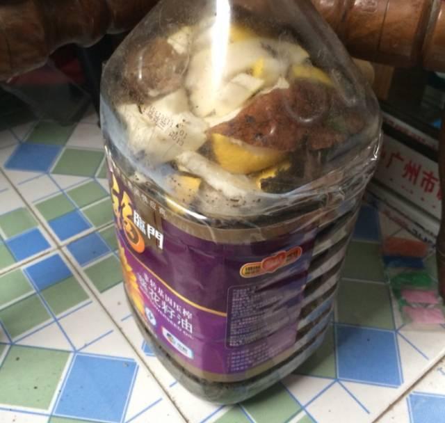 橘子皮放水裡泡一泡，勝過5瓶營養液，澆過的花油綠直冒芽！