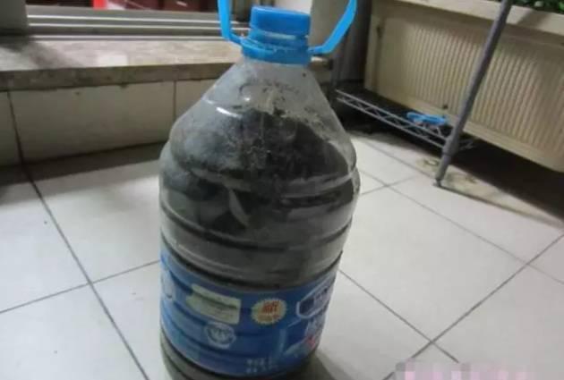 橘子皮放水裡泡一泡，勝過5瓶營養液，澆過的花油綠直冒芽！