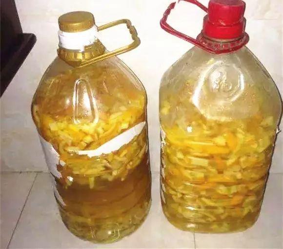 橘子皮放水裡泡一泡，勝過5瓶營養液，澆過的花油綠直冒芽！