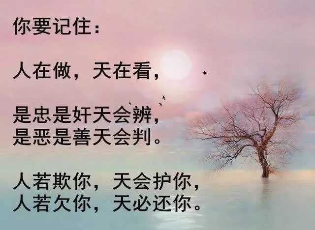 深信因果吧！大蟒蛇被抓後，竟幻化成人，曝光前世來求救……有圖有真相！