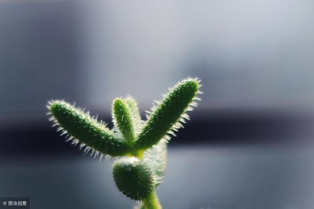 心慌胸悶氣短，不妨按這個穴位，不僅寬心而且護心