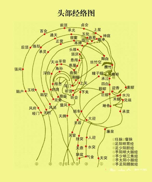 為什麼說耳、目為「宗脈之所聚」？