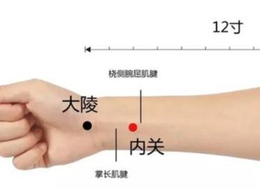 年底聚會多，腹瀉、胃痛、消化不良找上門怎麼辦？