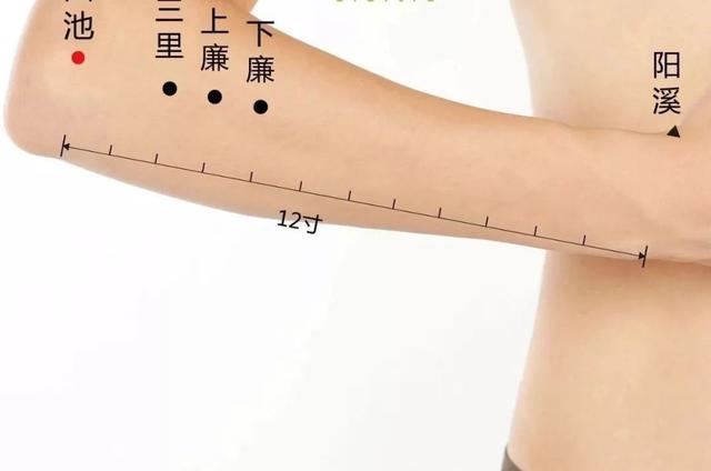 年底聚會多，腹瀉、胃痛、消化不良找上門怎麼辦？