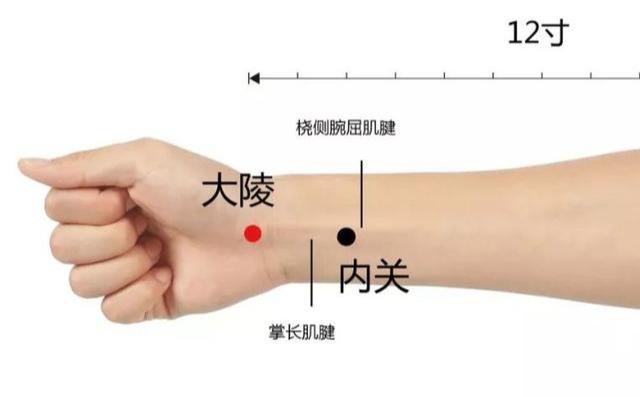 年底聚會多，腹瀉、胃痛、消化不良找上門怎麼辦？
