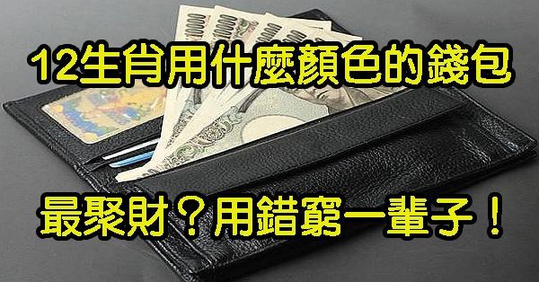 「12生肖」用什麼顏色的錢包最聚財？用錯窮一輩子！看了讓你的財運越來越旺！