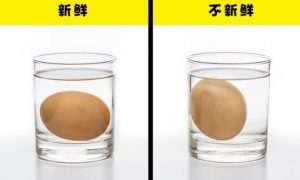 日常生活中最常見的10大食物，教你如何檢查食物好壞的實用小技巧