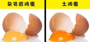 日常生活中最常見的10大食物，教你如何檢查食物好壞的實用小技巧