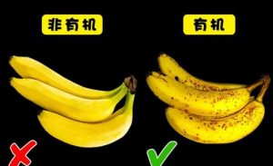 日常生活中最常見的10大食物，教你如何檢查食物好壞的實用小技巧