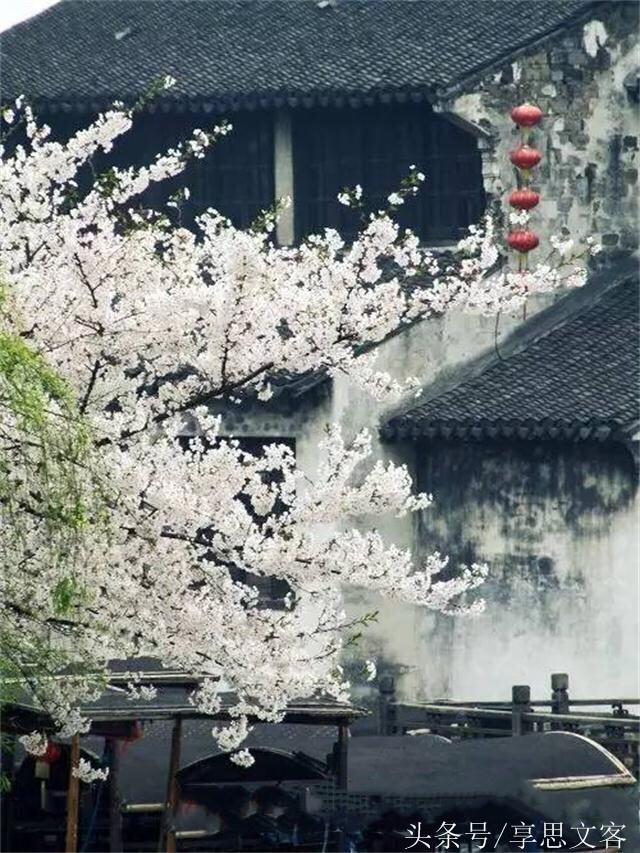 杜月笙：學會控制自己的脾氣，才能留住滿身的福氣