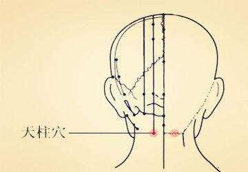 針灸穴位妙計，穴位歌訣讓你輕鬆愛上記穴位