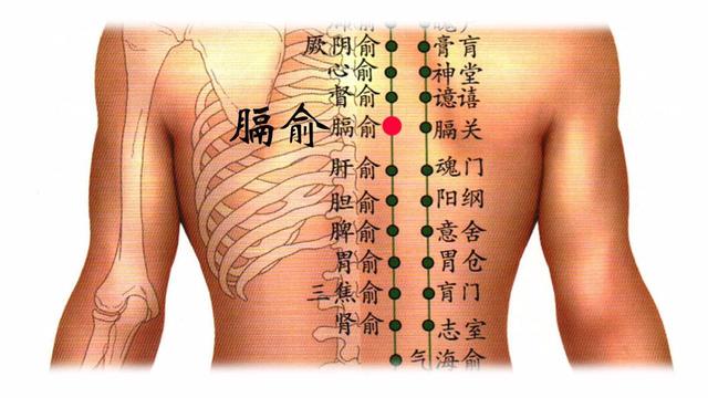 針灸穴位妙計，穴位歌訣讓你輕鬆愛上記穴位