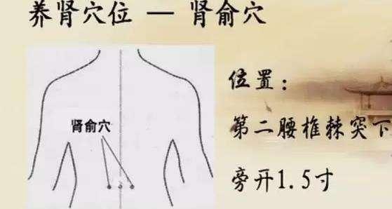 針灸穴位妙計，穴位歌訣讓你輕鬆愛上記穴位