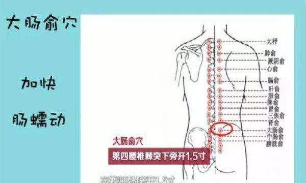 針灸穴位妙計，穴位歌訣讓你輕鬆愛上記穴位
