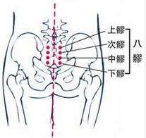針灸穴位妙計，穴位歌訣讓你輕鬆愛上記穴位