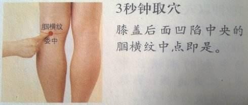 針灸穴位妙計，穴位歌訣讓你輕鬆愛上記穴位