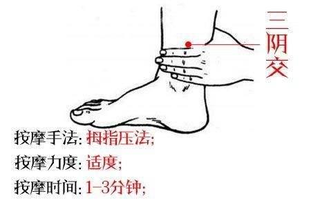 針灸穴位妙計，穴位歌訣讓你輕鬆愛上記穴位