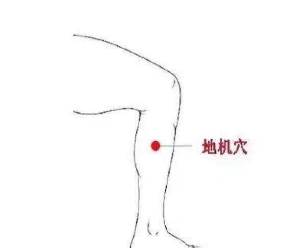 針灸穴位妙計，穴位歌訣讓你輕鬆愛上記穴位
