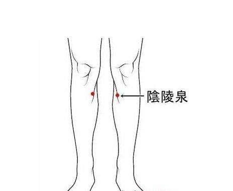 針灸穴位妙計，穴位歌訣讓你輕鬆愛上記穴位
