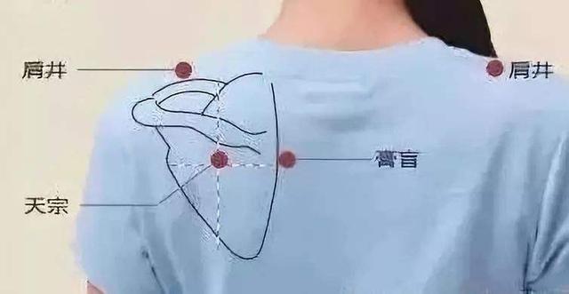 針灸穴位妙計，穴位歌訣讓你輕鬆愛上記穴位