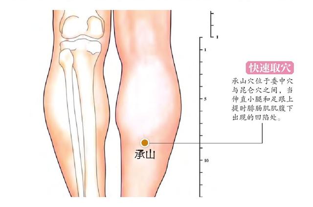 小腿上有個特效止痛穴，每天按一按，腰酸腿痛都不見！