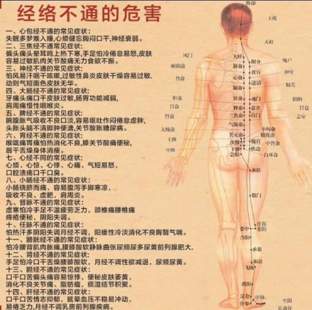 【 經絡收放療法 】