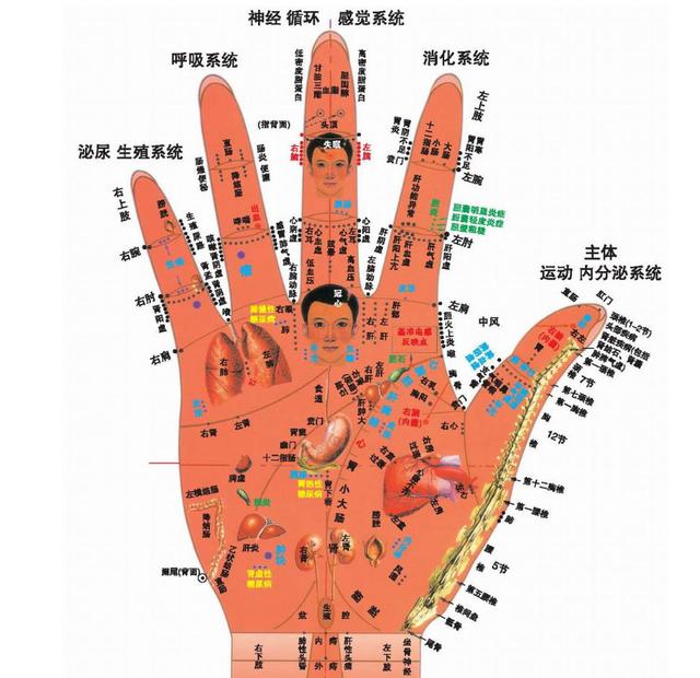 中醫「望診」，從手掌看身體的情況