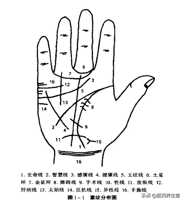一口氣讀懂中醫手診，通俗易懂！收藏下來吧