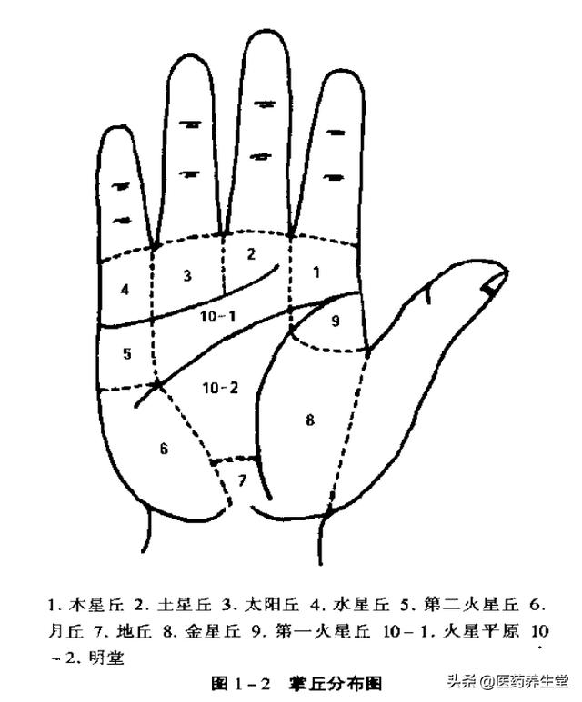 一口氣讀懂中醫手診，通俗易懂！收藏下來吧