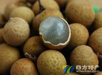 很多人都不知道龍眼水這樣煮可以降低近視度！而且失眠喝了七日就會痊癒哦！