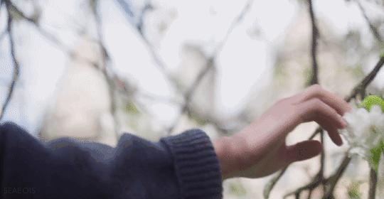 離過婚的女人不是沒人要，而是餘生不想再將就！