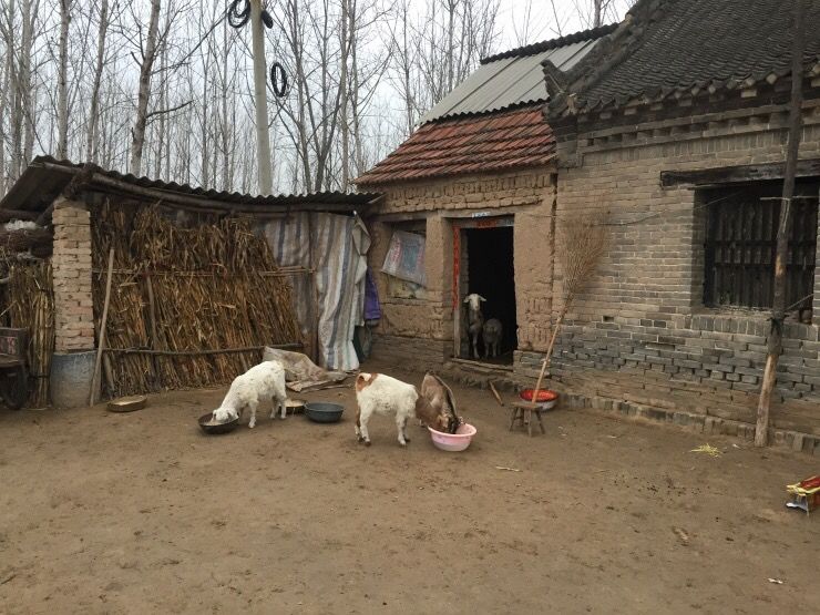 兒子元旦回村，帶一42歲女友，母親將她趕走，隔天拉開門，蒙了