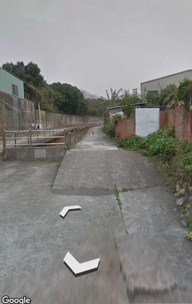 偶然在街景地圖上看到自己的狗狗，主人淚崩：你在天堂還好嗎？