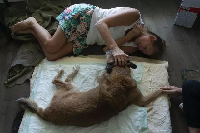 偶然在街景地圖上看到自己的狗狗，主人淚崩：你在天堂還好嗎？