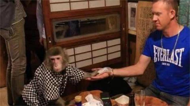 日本最火爆的餐廳之一：猴子當服務生，報酬只要香蕉！