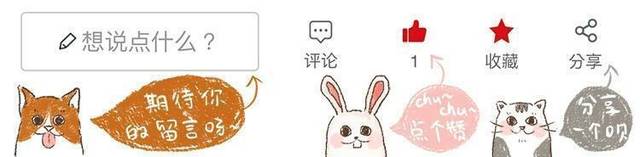 慢性腎炎危害貓咪健康，鏟屎官需注意這三點，讓愛貓安度晚年！